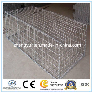 Welded Wire Mesh Gabion Box/Galvanized Gabion Mesh Manufacture