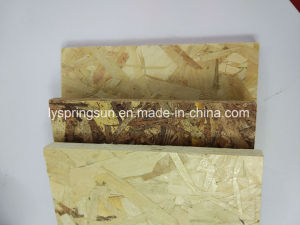 Good Price 10-18mm OSB Face Plywood